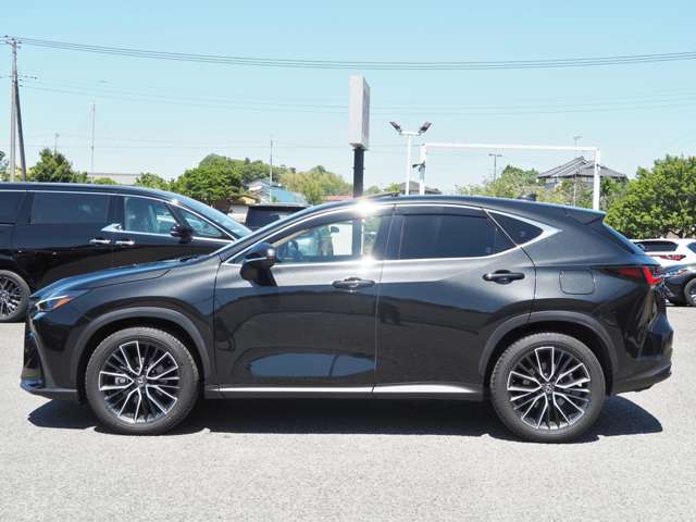 Lexus NX 8