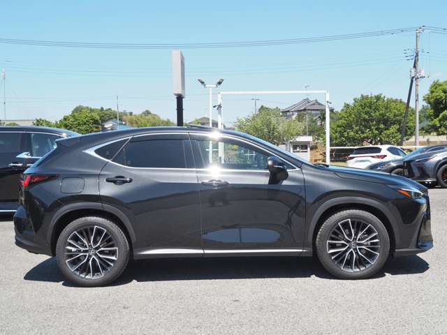 Lexus NX 9