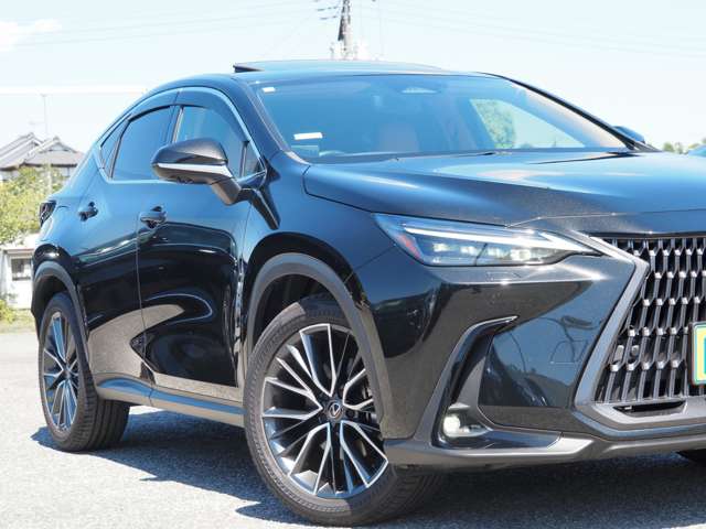Lexus NX 10