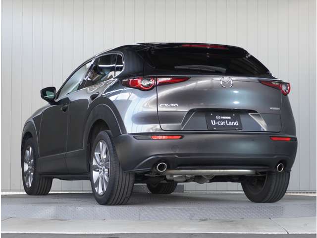 Mazda CX-30 12