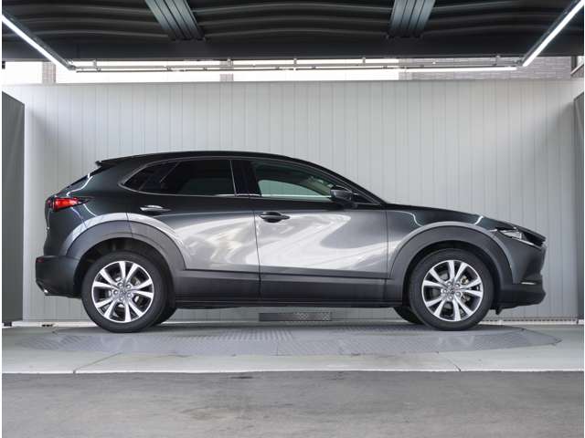 Mazda CX-30 9