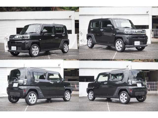 Daihatsu Taft 8