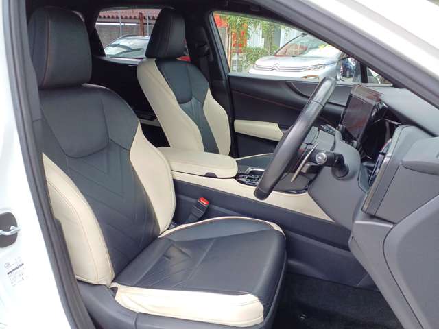 Lexus NX 12