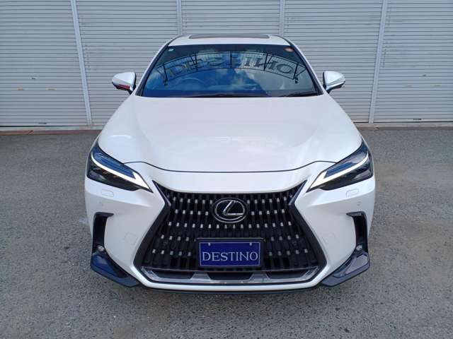 Lexus NX 4