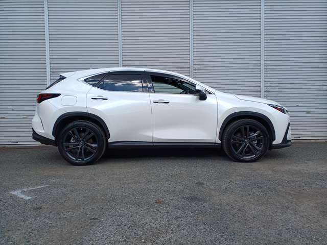 Lexus NX 5