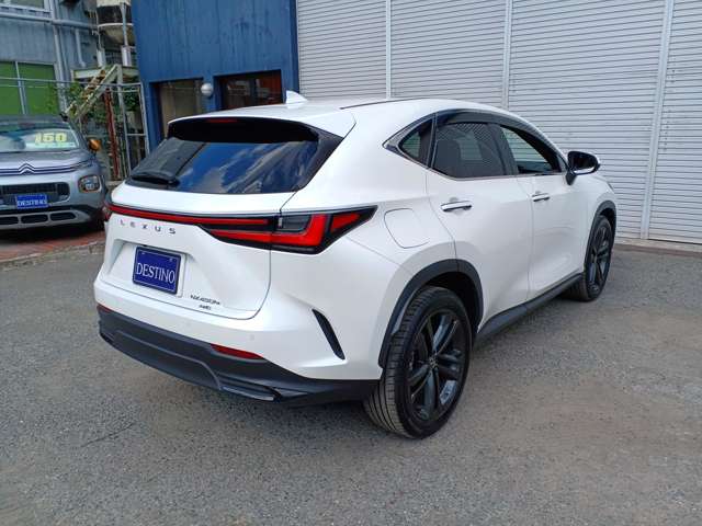 Lexus NX 6