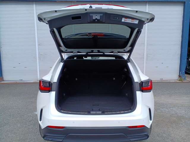 Lexus NX 8