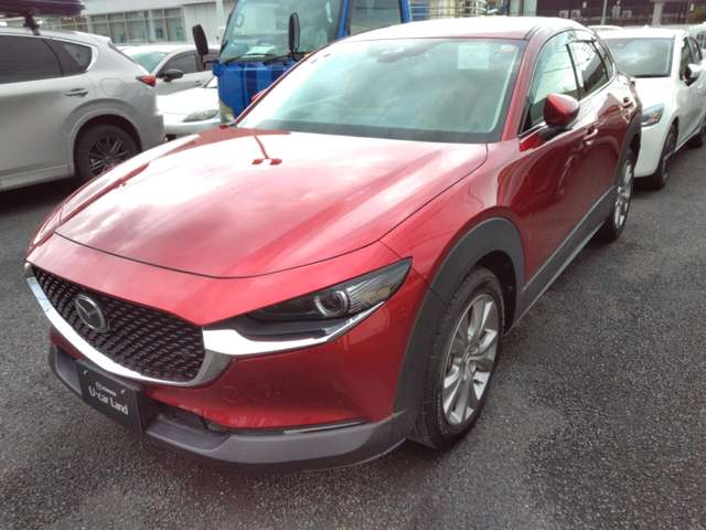 Mazda CX-30 7