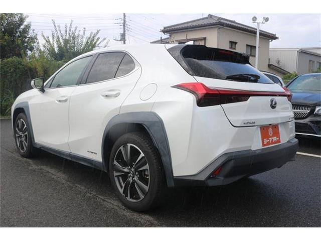 Lexus UX 12