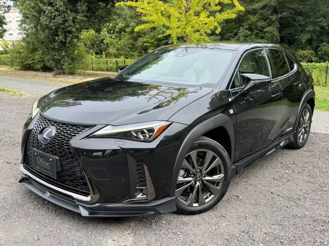 Lexus UX 9