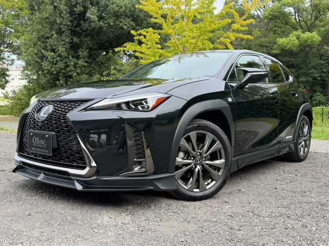 Lexus UX 10