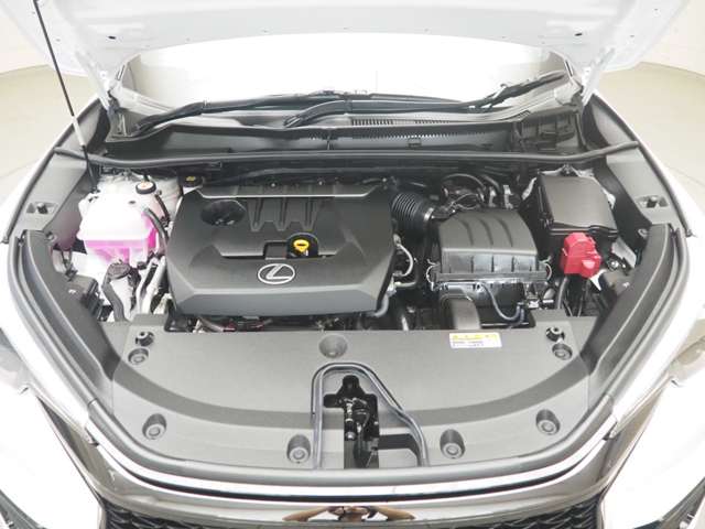 Lexus LBX 10