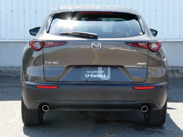 Mazda CX-30 3