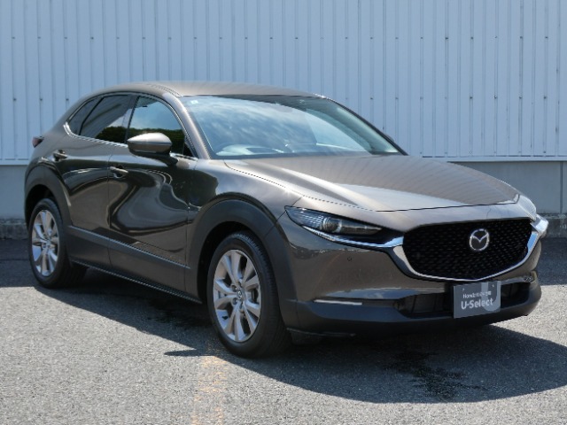 Mazda CX-30 6