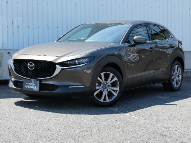 Mazda CX-30 7
