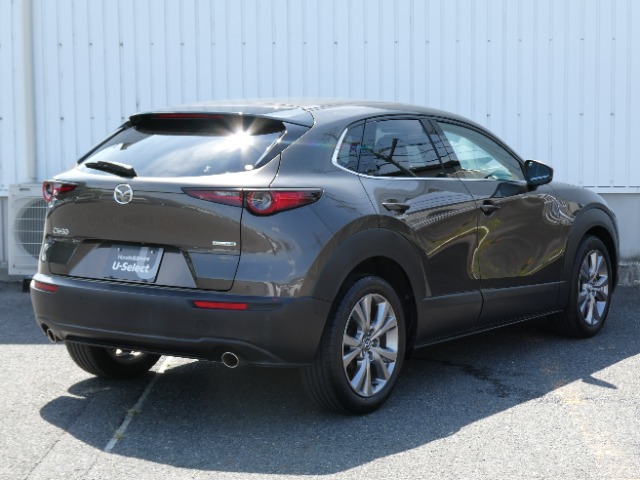 Mazda CX-30 8