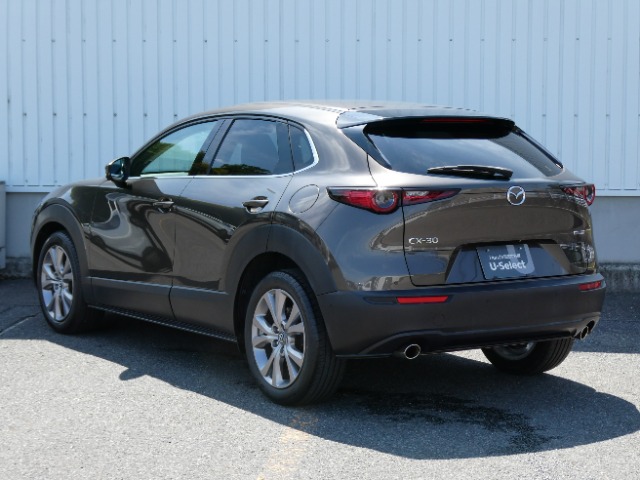 Mazda CX-30 9
