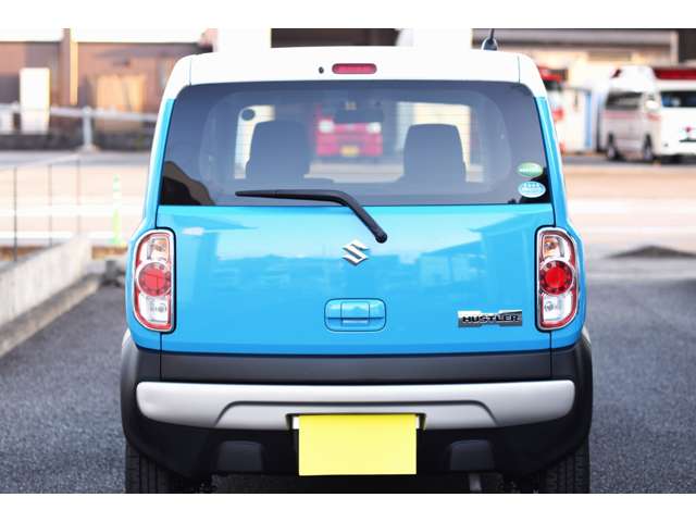 Suzuki Hustler 11