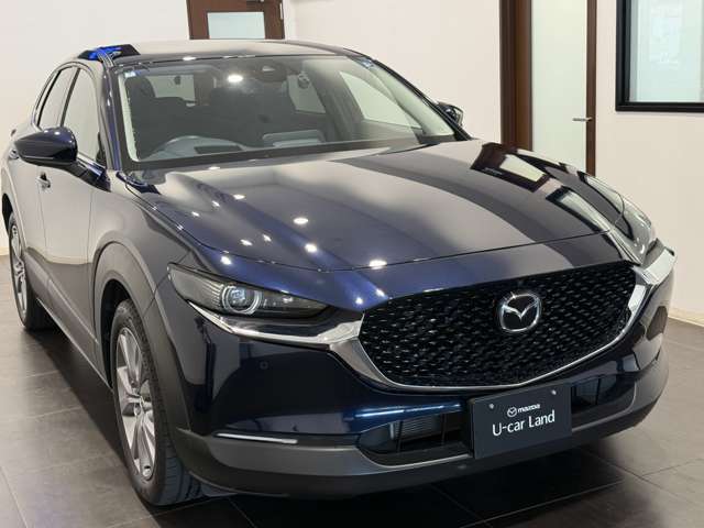 Mazda CX-30 6