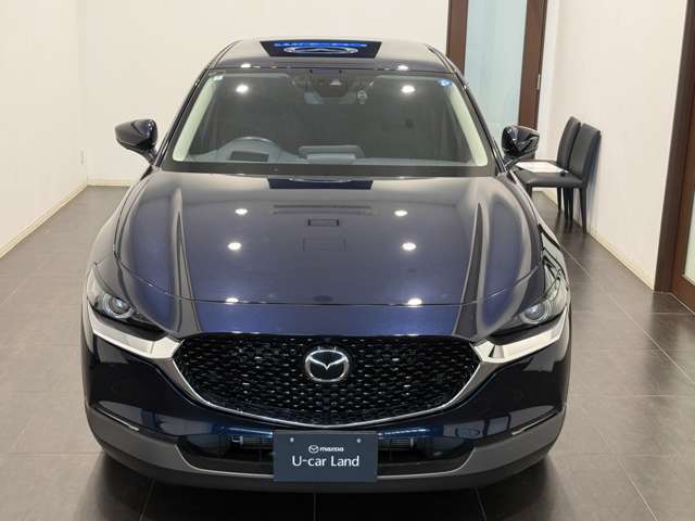 Mazda CX-30 7