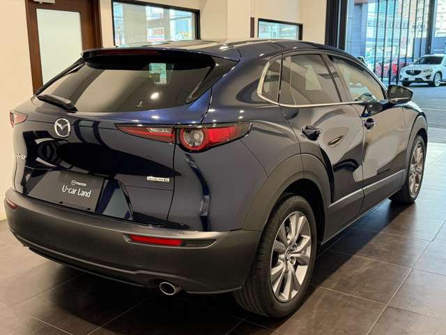 Mazda CX-30 8