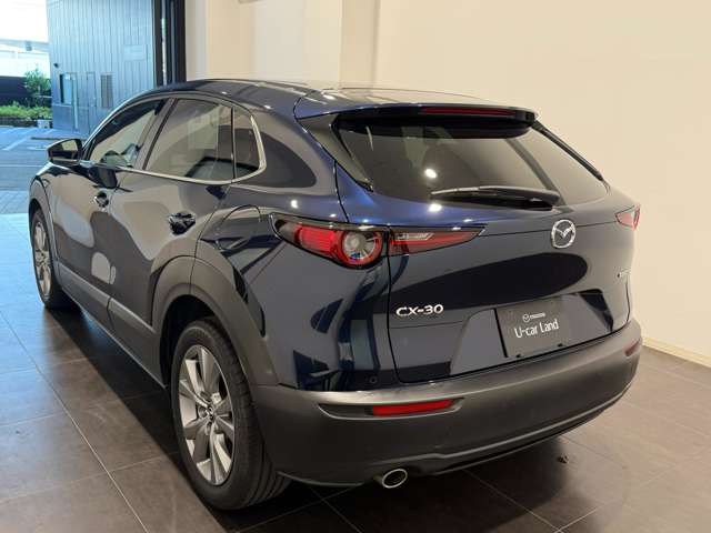 Mazda CX-30 10