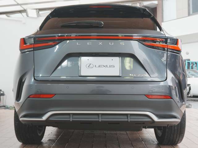 Lexus NX 11