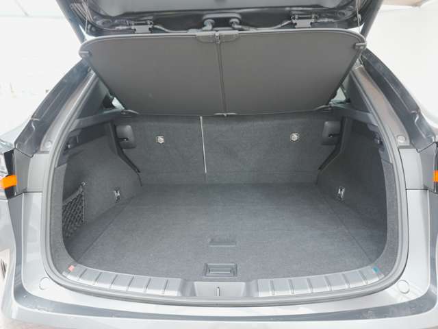 Lexus NX 12