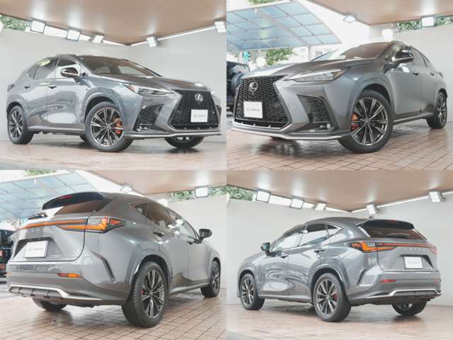 Lexus NX 4