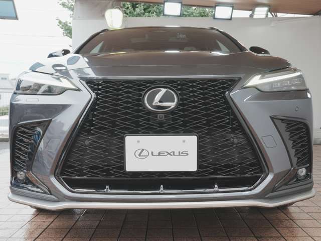 Lexus NX 10