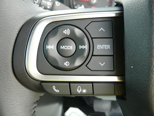 Daihatsu Taft 12