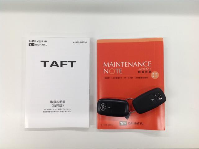 Daihatsu Taft 11
