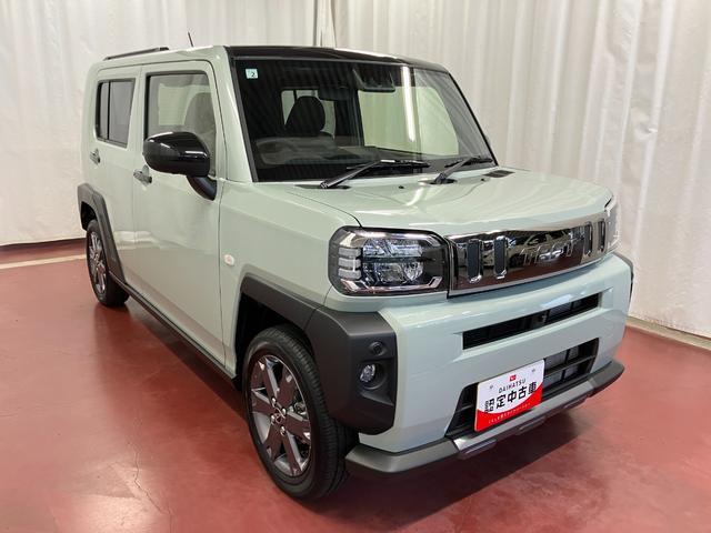 Daihatsu Taft 4
