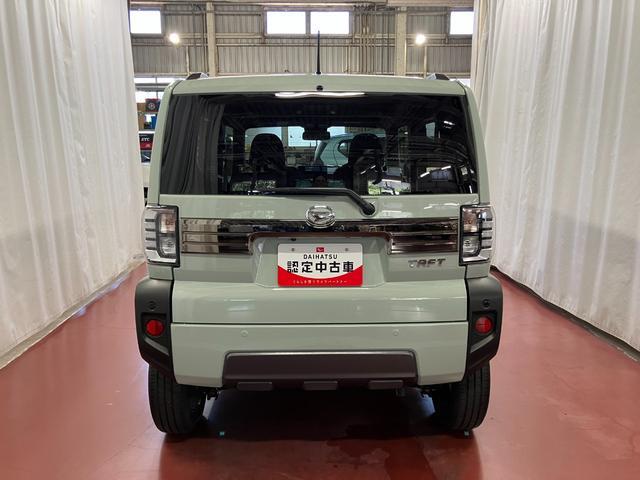 Daihatsu Taft 6