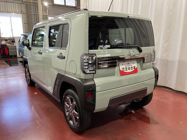 Daihatsu Taft 7