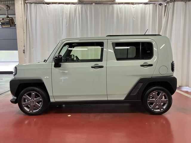 Daihatsu Taft 8