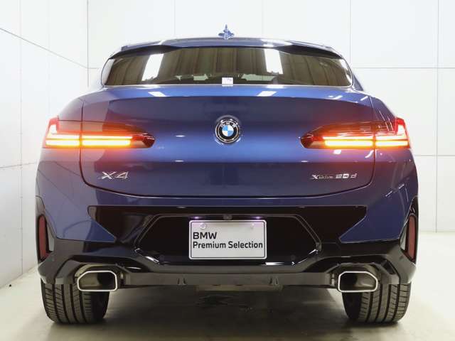 BMW X4 10