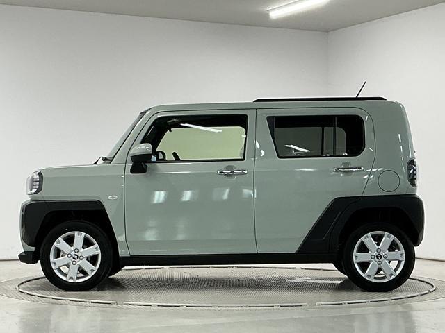Daihatsu Taft 11