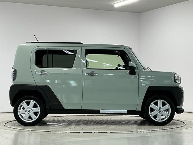 Daihatsu Taft 10