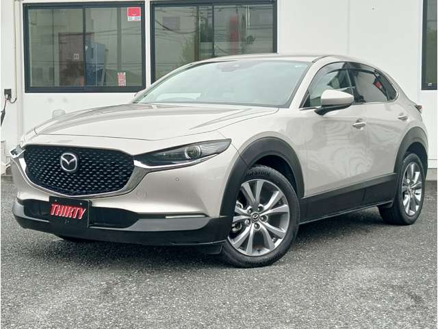 Mazda CX-30 6