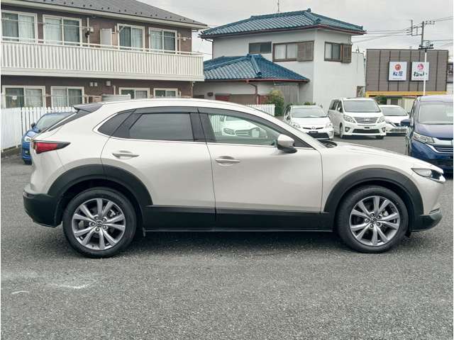 Mazda CX-30 9