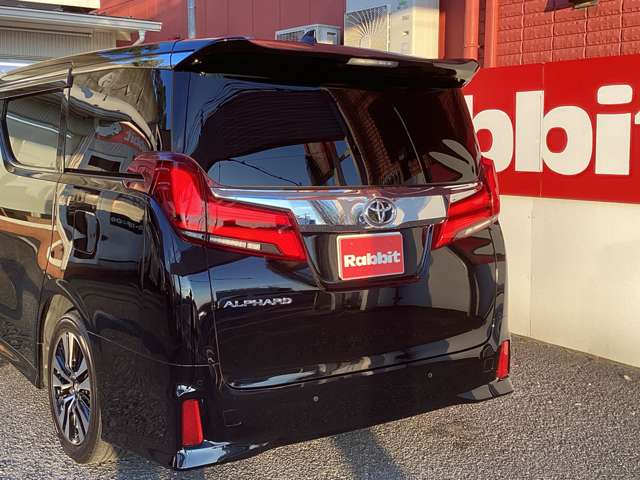 Toyota Alphard 9