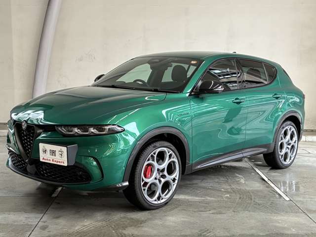 Alfa Romeo トナーレ 11