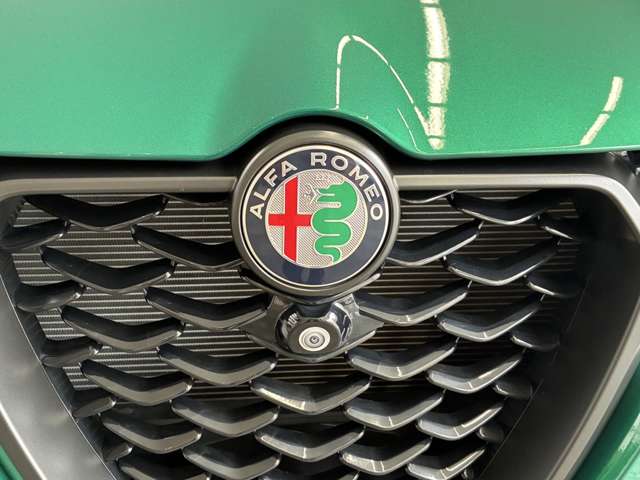 Alfa Romeo トナーレ 10