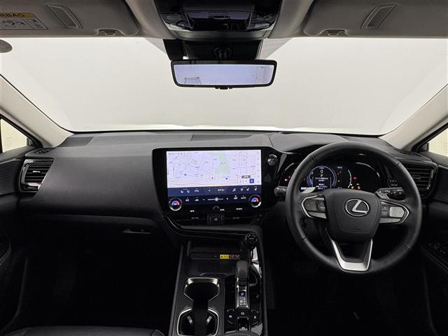 Lexus NX 4