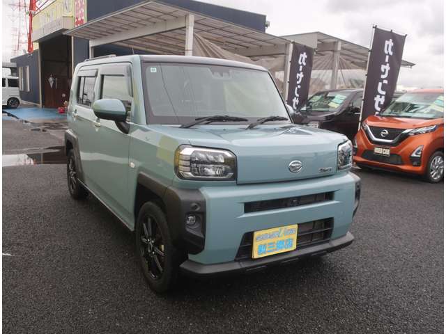 Daihatsu Taft 8