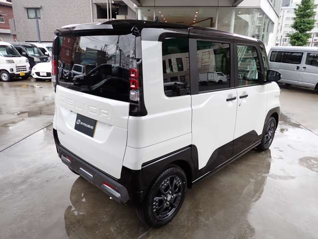 Mitsubishi Delica Mini 11