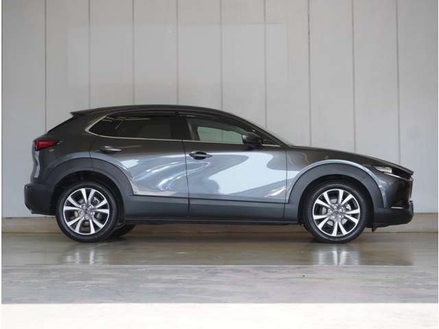 Mazda CX-30 5