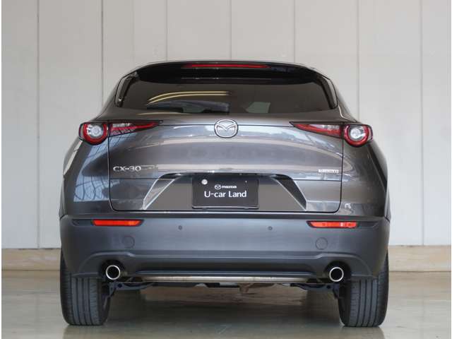 Mazda CX-30 6