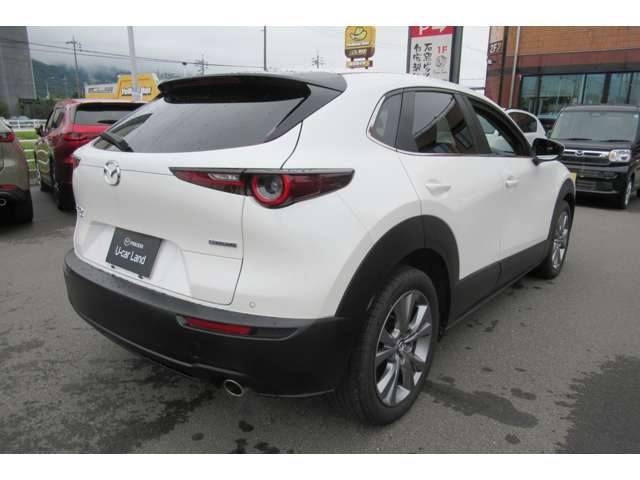 Mazda CX-30 11